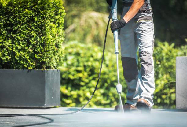 Best Gutter Cleaning  in Tylertown, MS